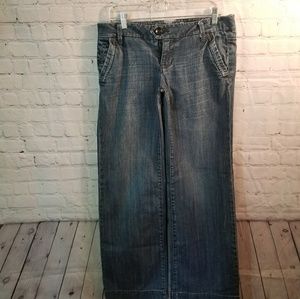 American Eagle Jeans 8 Long